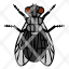 fly-flies-diptera-insects-animal-pest-icon
