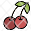 food-cherry-berry-fruit-icon