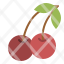 food-cherry-berry-fruit-icon