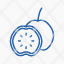 food-eat-guava-fruit-icon