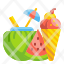 food-friut-coconut-desert-watermelon-summertime-drink-icon