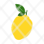 food-fruit-kitchen-lemon-restaurant-icon