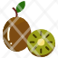 food-fruit-kiwi-fruits-icon