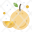 food-fruit-lemon-icon
