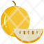 food-fruit-muskmelon-fruits-cantaloupe-icon