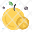food-fruit-orange-icon