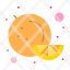 food-fruit-orange-icon