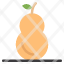 food-fruit-pear-icon