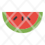 food-fruit-watermelon-icon