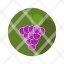 food-fruits-grapes-icon