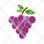 food-fruits-grapes-icon