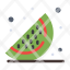 food-fruits-watermelon-icon