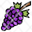 food-grape-berry-purple-fruit-icon