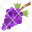food-grape-berry-purple-fruit-icon