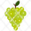 food-green-grapes-fruits-fruit-icon
