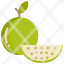 food-guava-fruits-fruit-icon