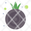 food-onion-vegetable-icon