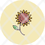 food-organic-seeds-sunflower-flower-snack-icon
