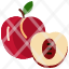 food-peach-fruits-fruit-icon