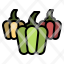 food-pepper-paprika-vegetable-health-icon