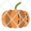food-pumpkin-vegetable-healthy-harvest-icon