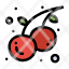 food-summer-fruit-cherry-icon