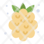 food-summer-fruit-strawberry-icon