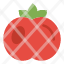 food-tomato-fruit-icon