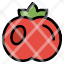 food-tomato-fruit-icon