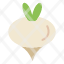 food-turnip-vegetable-spring-icon