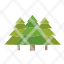 forest-camping-jungle-tree-pines-icon