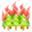 forest-fire-burning-tree-conflagration-disaster-icon