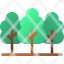 forest-tree-woods-environment-nature-icon