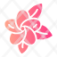 frangipani-nature-flower-petals-blossom-icon