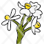 freesia-flower-spring-gardening-plant-icon