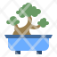 freetime-bonsai-plant-tree-gardening-garden-icon