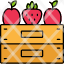 fruit-box-apple-healthy-food-natural-icon