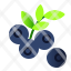 fruit-food-healthy-blue-berry-icon