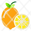 fruit-food-healthy-lemon-icon