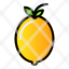 fruit-food-healthy-lemon-icon