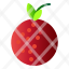 fruit-food-healthy-lychee-icon