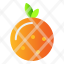 fruit-food-healthy-orange-icon