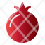 fruit-food-healthy-pomegranate-icon