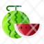 fruit-food-healthy-waermelon-icon