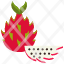 fruit-fruits-food-dragon-icon