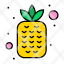 fruit-fruits-healthy-pineapple-icon
