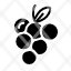 fruit-grape-berry-viburnum-vegetarian-vegan-food-and-restaurant-organic-bouquet-icon