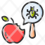 fruit-insect-food-insect-pest-insect-animal-bug-farm-icon