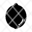 fruit-lemon-food-and-restaurant-icon