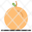 fruit-orange-pulp-icon